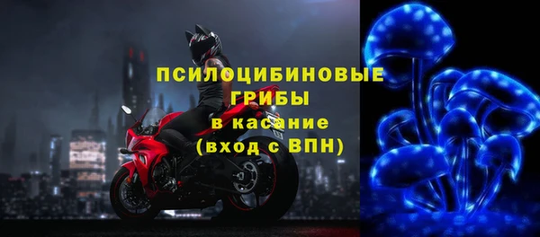 крисы Пересвет
