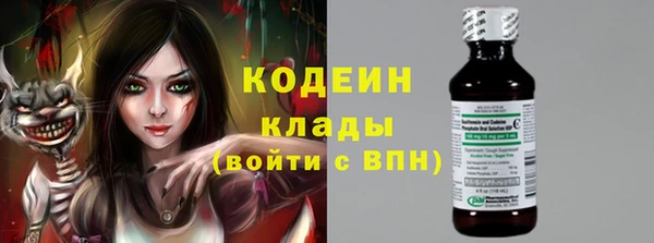 прущий лед Пестово