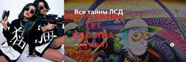 ГАЛЛЮЦИНОГЕННЫЕ ГРИБЫ Галич