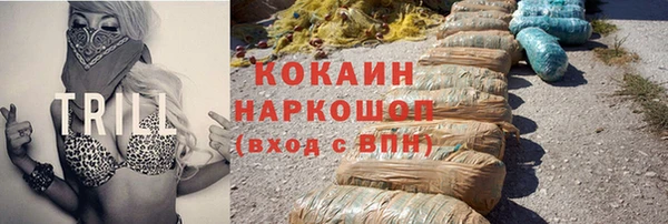 крисы Пересвет