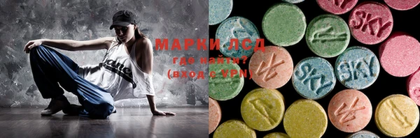 стаф Гатчина