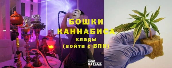 крисы Пересвет